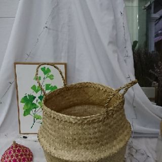 Giỏ cói trồng cây