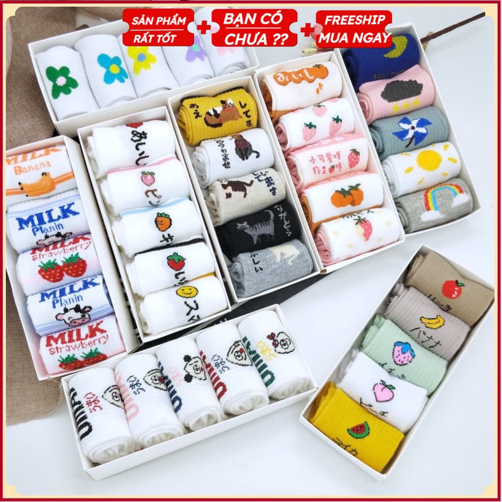 PVN38118 Set 5 Đôi Tất Vớ Nữ Cổ Ngắn Kèm Hộp Đựng Xinh Xắn T2 .