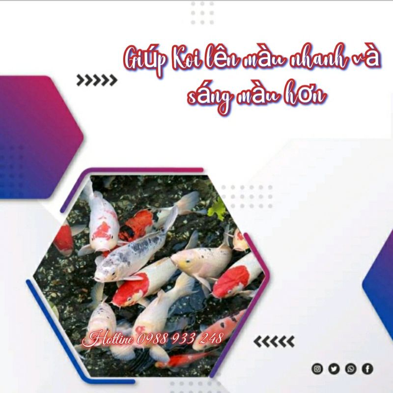 Cám Koi STELLA S2, S3 ||Túi 1Kg