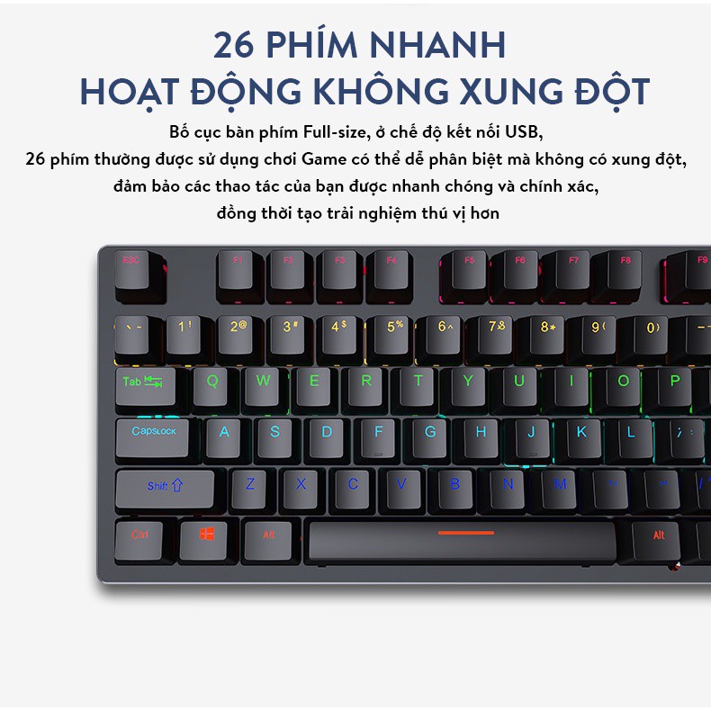 Bàn phím cơ Latope gaming bàn phím máy tính chơi game TKL Full LED K550 RGB