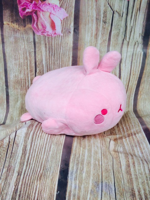 Gấu bông molang size 25-30cm