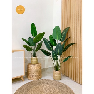 Cây giả Decor - Cây chuối