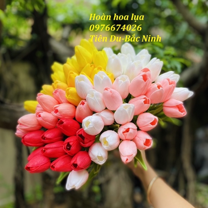 Hoa giả_hoa tuylip cao su cao 25cm có mùi thơm nhẹ, đẹp giống thật 99%