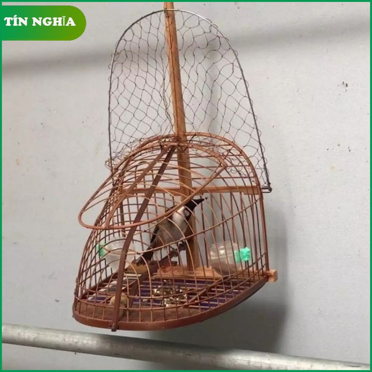 Lồng bẫy chim chào mào ,cu gáy ,khuyên cao cấp (Vận_Chuyển_Toàn_Quốc)