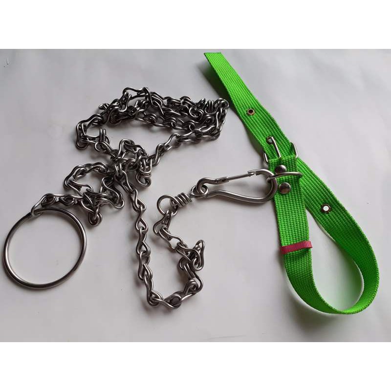 Dây xích chó INOX