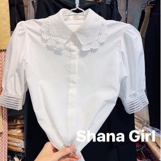 Sơ mi trắng cổ ren