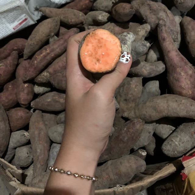 Khoai lang mật Tà Nung Lâm Đồng