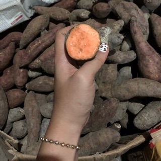 Khoai lang mật Tà Nung Lâm Đồng