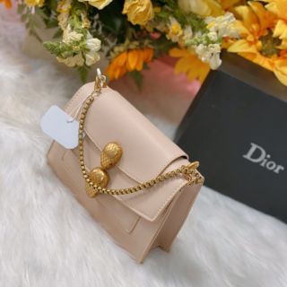 Túi đầu rồng cnk siêu sang