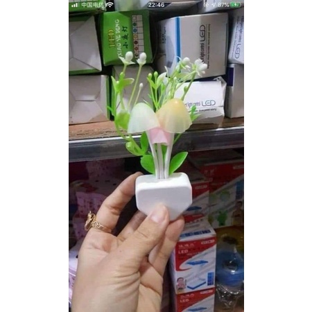 ĐÈN NGỦ NẤM CẢM ỨNG TỰ ĐỘNG SÁNG KHI TRỜI TỐI