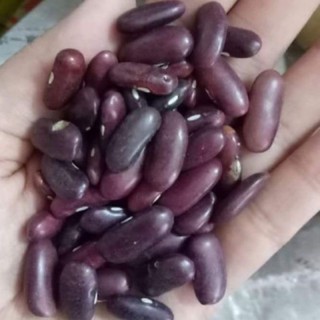 500gr đậu đỏ thận
