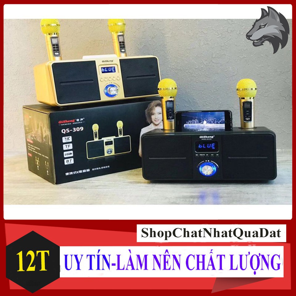 Loa karaoke bluetooth SD 309 Mẫu Mới 2021 - Loa cao cấp- Âm thanh hay - Tặng kèm 2 micro không dây có màn hình LCD