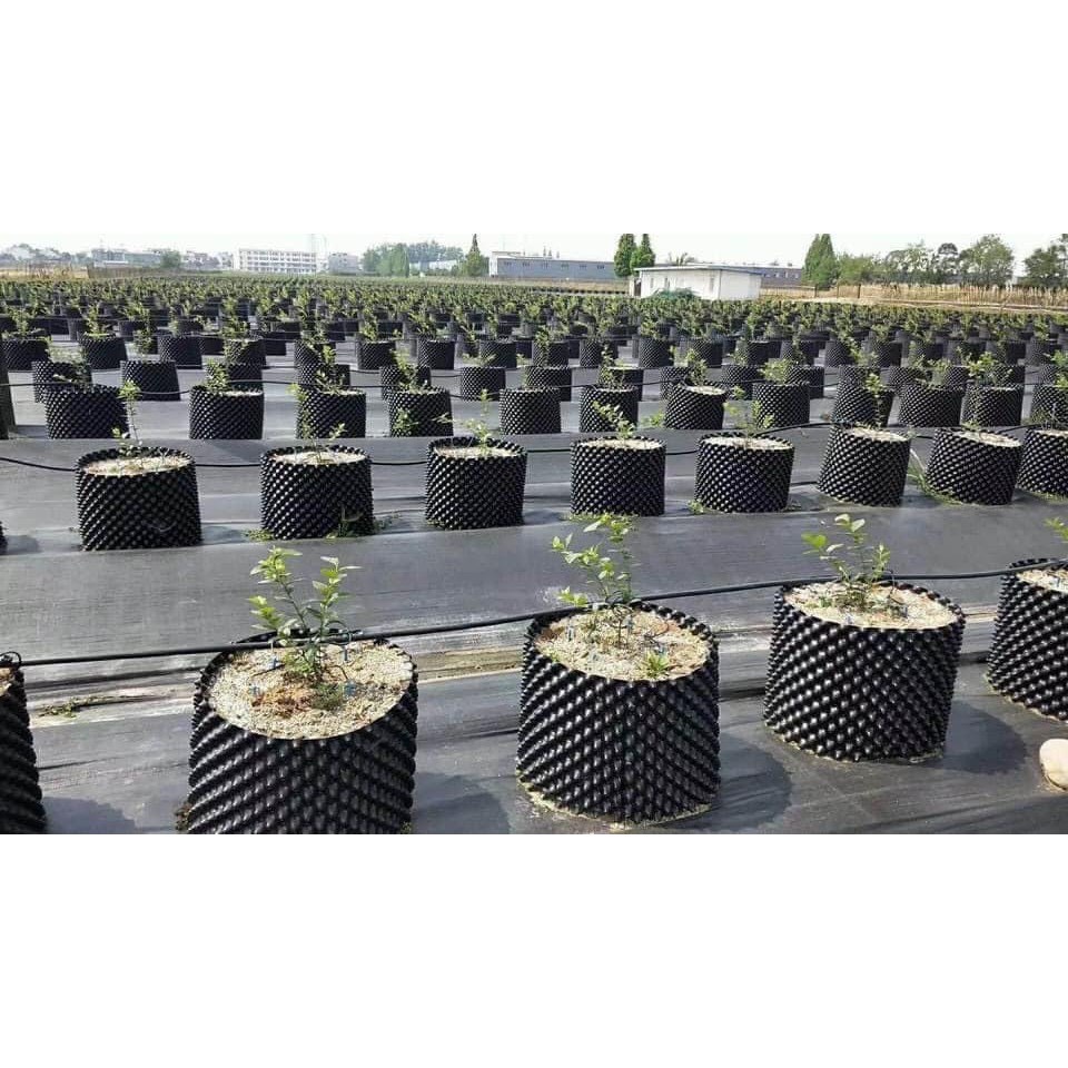 50M BẦU V6 CAO 60CM TẶNG KÈM ỐC VÍT ( KHAY TÚI ƯƠM , DỊCH TRUYỀN CHO CÂY, LƯỚI CHỐNG NẮNG)