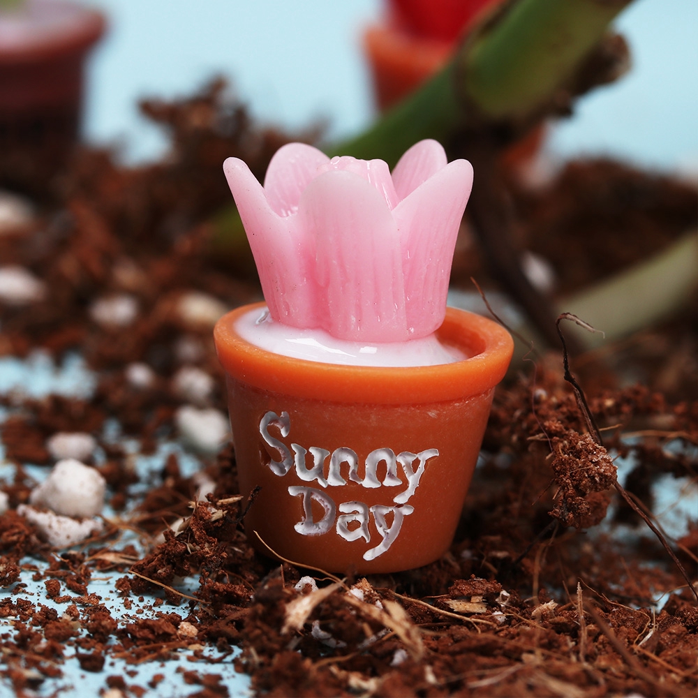 Set 3 chậu cây xương rồng mini bằng resin dùng trang trí tiểu cảnh