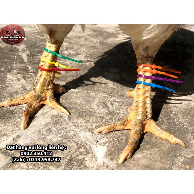 Dây Rút Màu Đánh Dấu Chân Gà 100 Sợi