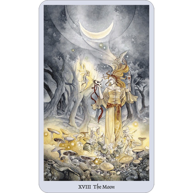 Bộ Bài Shadowscapes Tarot – Bookset Edition (Mystic House Tarot Shop)