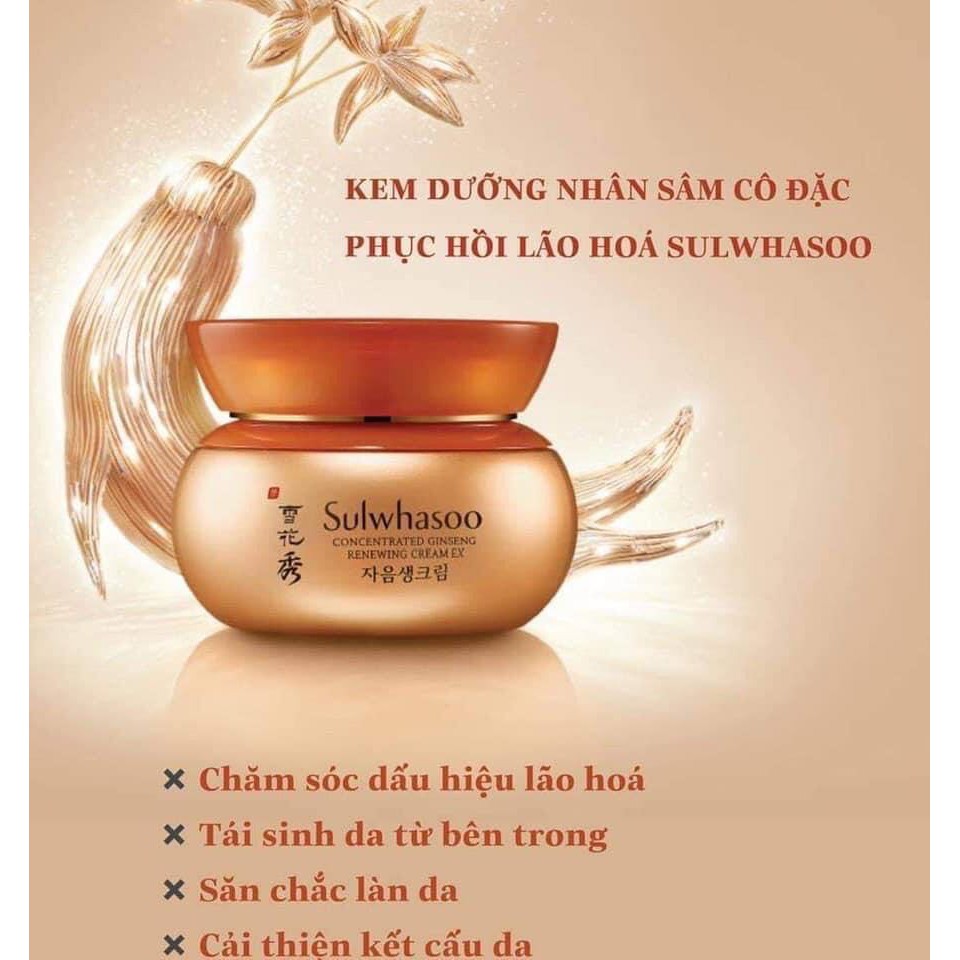 [AUTH 1000% ] SULWHASOO MINI Kem Nhân Sâm Cô Đặc Sulwasoo Concentrated Ginseng Renewing Cream mini 5ml