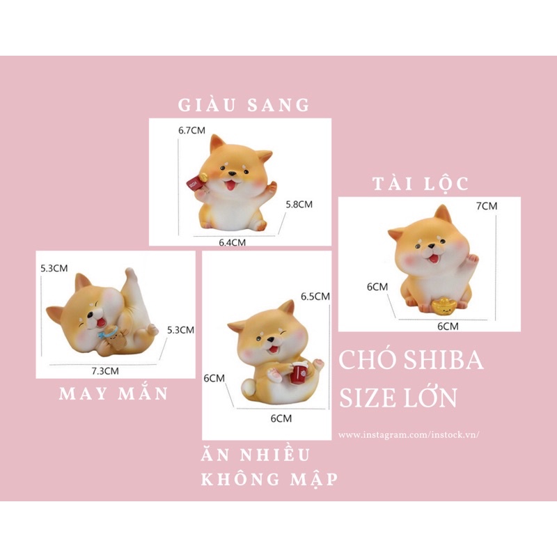 Chó Shiba thần tài cute