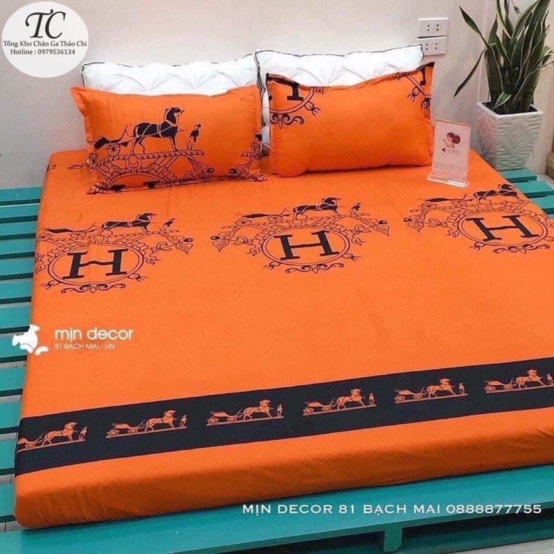 Bộ Ga Gối Coton Poly -  Bộ 3 Món (1 Ga+ 2 Vỏ Gối ) Đủ Size- Được Chọn Mẫu | BigBuy360 - bigbuy360.vn