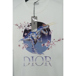 ÁO THUN DIOR DINOSAUR , ÁO THUN BASIC NAM NỮ UNISEX