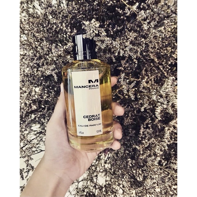 ♠️🖤Nước hoa Nam Mancera Paris Cedrat Boise Eau de Parfum 120ml EDP — Cá tính, Mạnh Mẽ, Nổi Bật, Sang trọng🖤♣️ | BigBuy360 - bigbuy360.vn