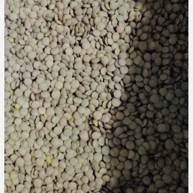 500g đậu lăng xanh hữu cơ