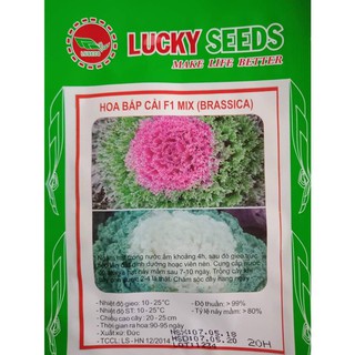 Hạt giống Hoa Bắp Cải nhiều màu LUCKY SEED ( 20 hạt) LINH SHOP