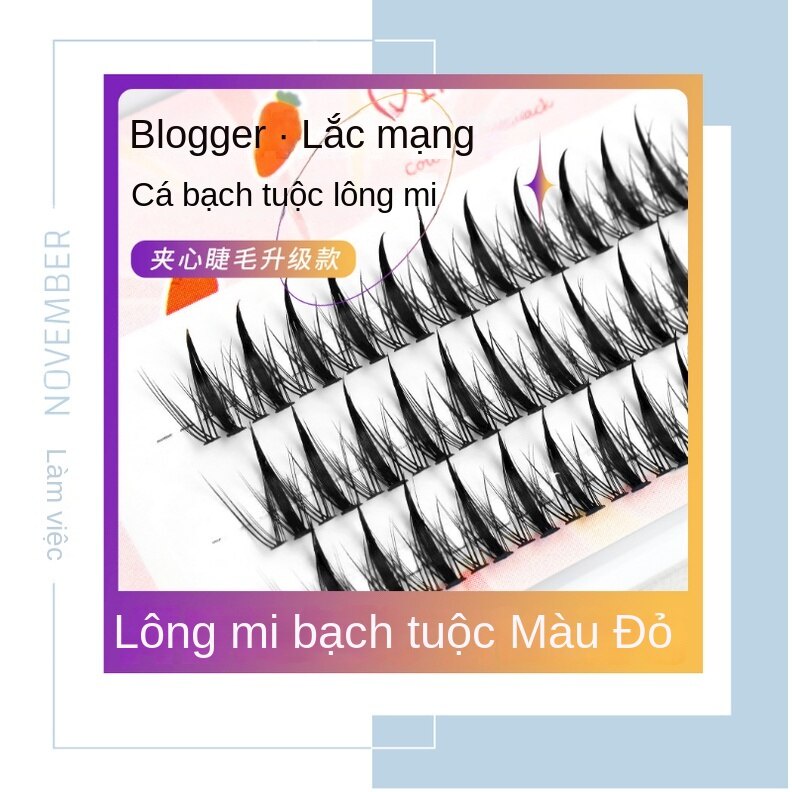 Lông Mi Giả Dày Dặn Hình Bạch Tuộc Qiaomufang