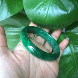 Combor vòng va hồ ly