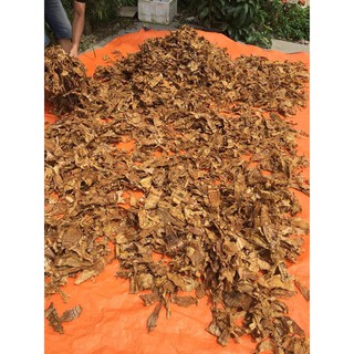 [NGON] MĂNG KHÔ RỪNG TÂY BẮC