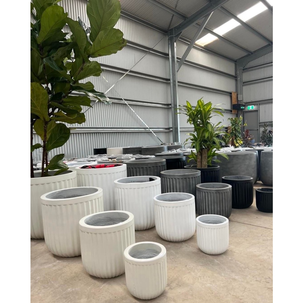 Chậu trồng cây xi măng DT034