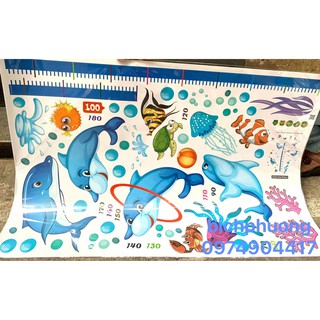 Decal thước đo voi xanh