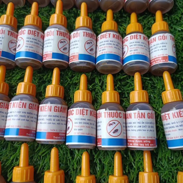 Thuốc Diệt Kiến - thuốc diệt Gián Tận Gốc An Toàn Hiệu Quả