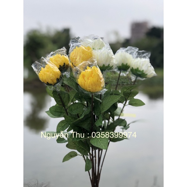 Hoa cúc giả - hoa cúc 1 bông