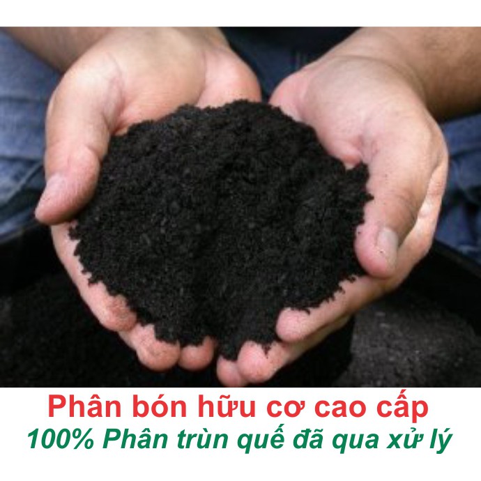 Phân trùn quế nguyên chất