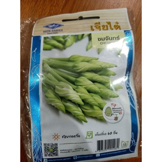 Hoa Chom chan Chia Tai Thái Lan