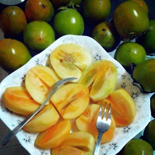 Hồng giòn Đà Lạt