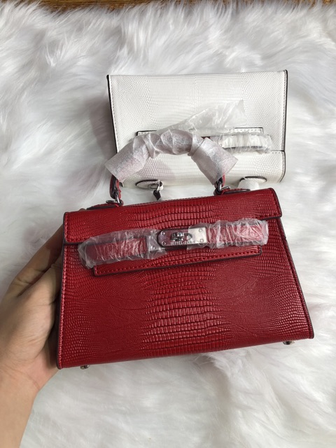 Túi da kỳ nhông size 19