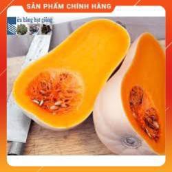 HẠT GIỐNG BÍ NGÔ MẬT F1 GÓI 10 GRAM
