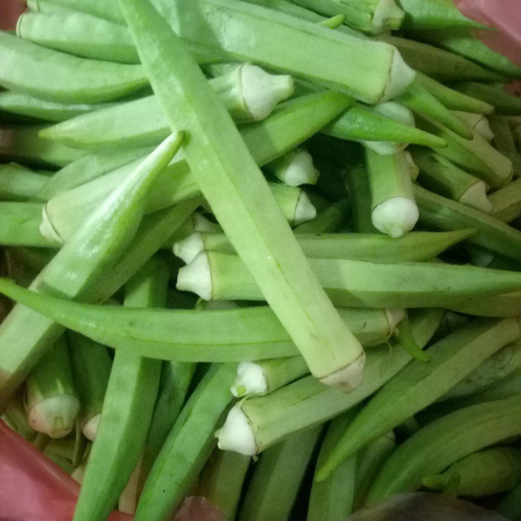Đậu Bắp 50 gr - Rạng Đông