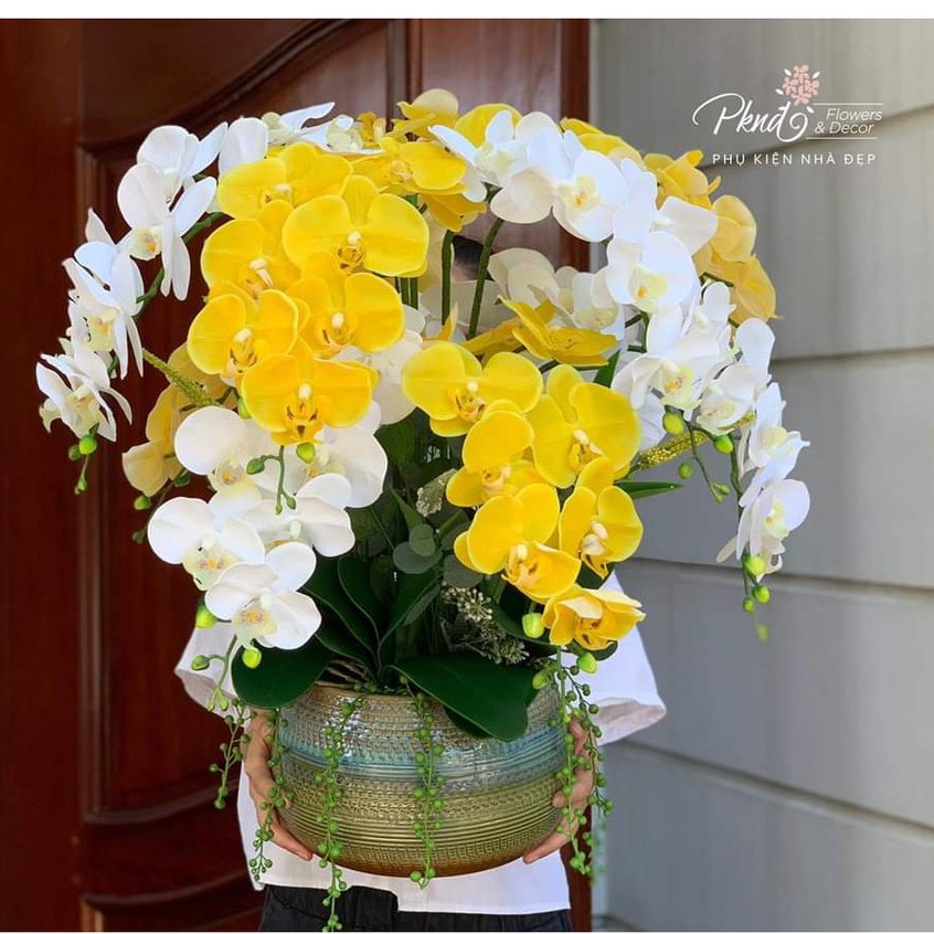 Bình hoa lan hồ điệp giả chất liệu cao su cao cấp trang trí đẹp PKND FLOWERS &amp; DECOR