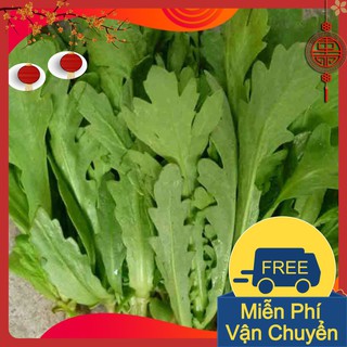 Combo 3 Gói Hạt Giống Rau Cải Cúc Nếp