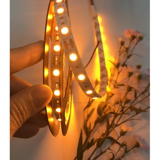 Led dây smd5050, cuộn 5m 12vdc