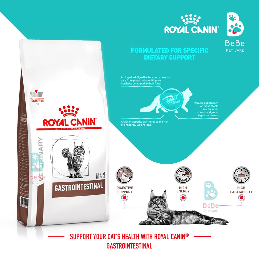 [2Kg] Hạt ROYAL CANIN Gastro Intestinal - Hỗ Trợ Mèo Có Vấn Đề Về Tiêu Hoá