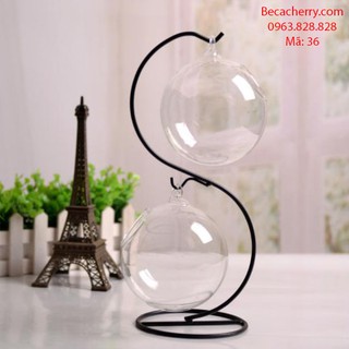 Bể cá mini đôi chữ S cỡ to 36 ( Tặng kèm combo phụ kiện trang trí )
