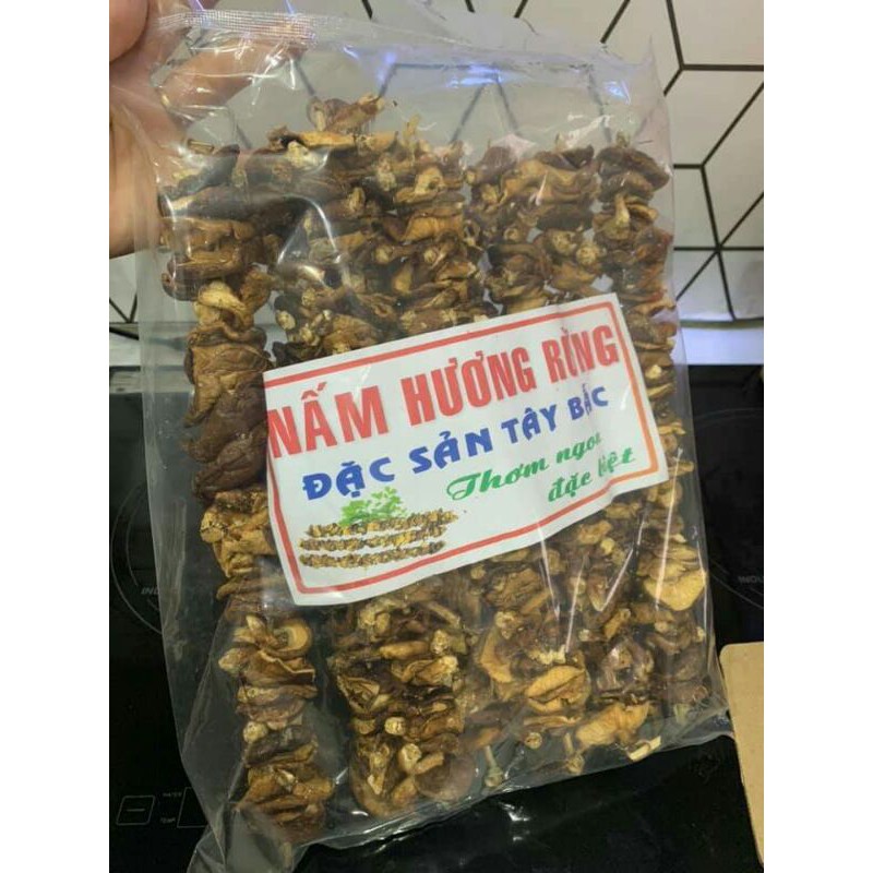 NẤM HƯƠNG RỪNG