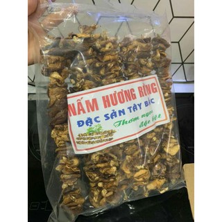 NẤM HƯƠNG RỪNG