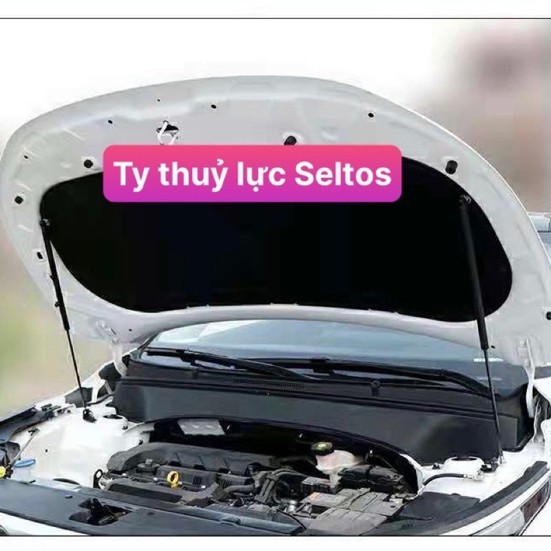 Ty thuỷ lực Capo Seltos