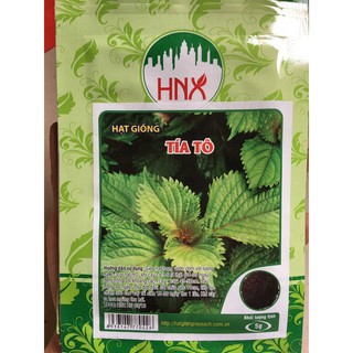 Hạt giống cây tía tô