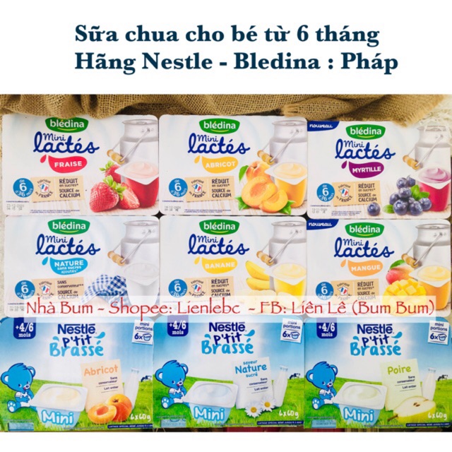 Sữa chua Bledina